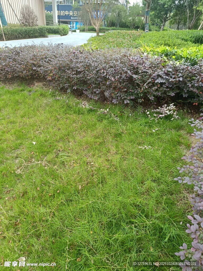 户外绿植景观一角