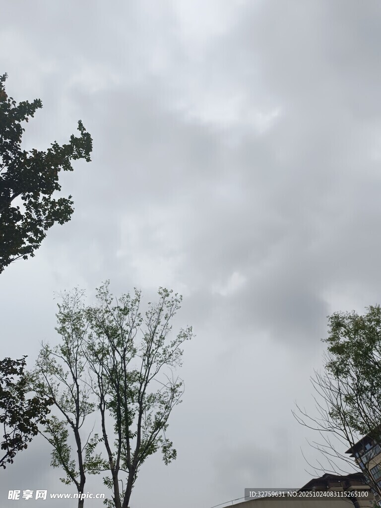 阴天中的树木与建筑