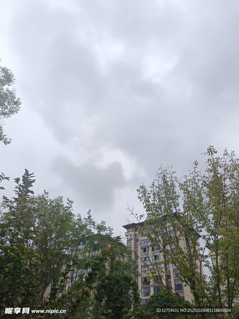 云雾中树林里的建筑物