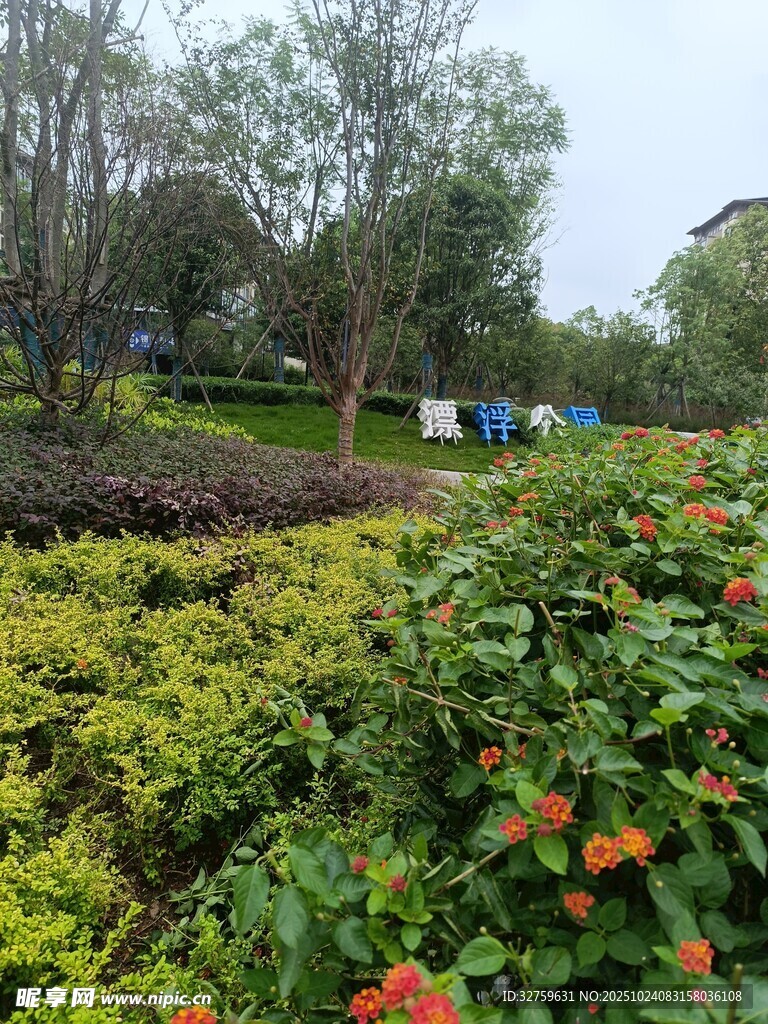 多彩园林花卉景观
