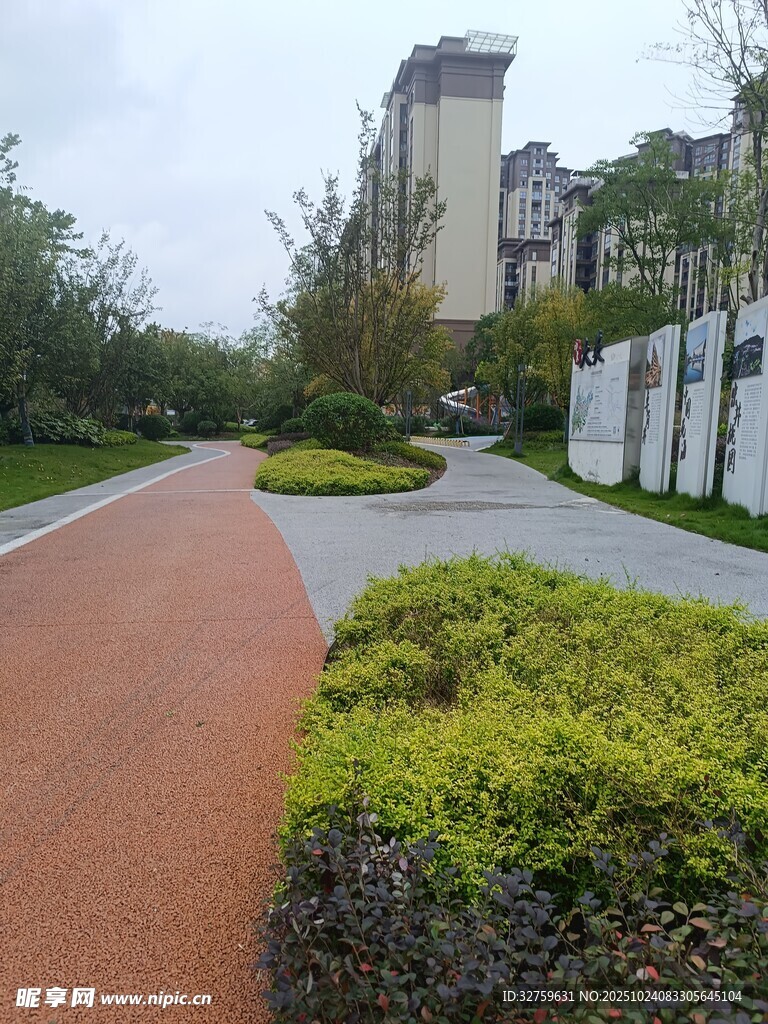 小区内的景观步道与绿植