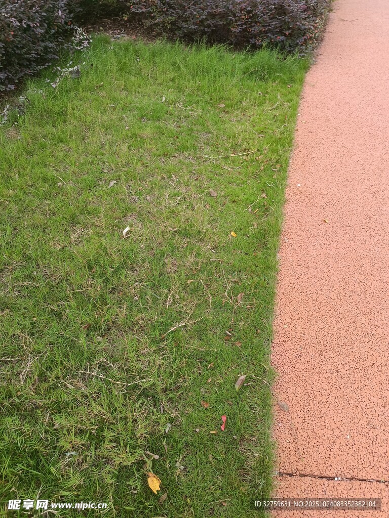 草地与红色步道景观