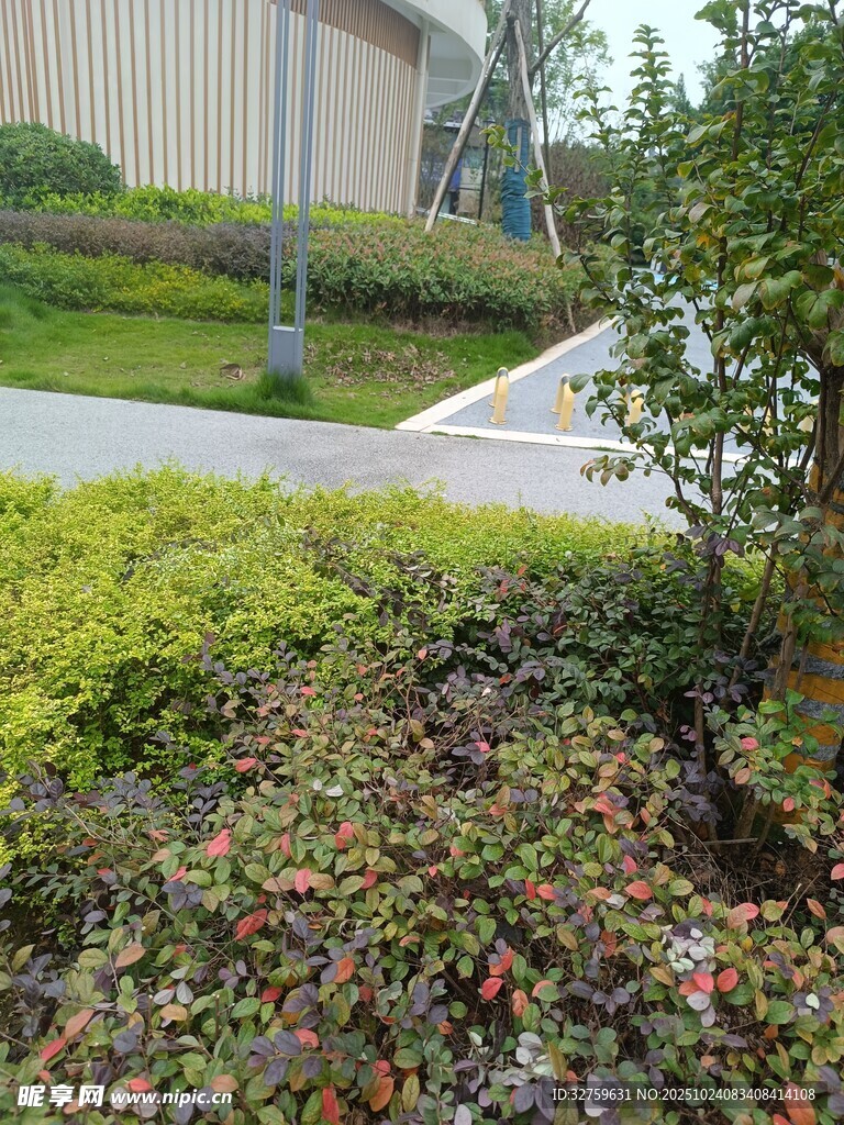 城市路边多彩绿植景观