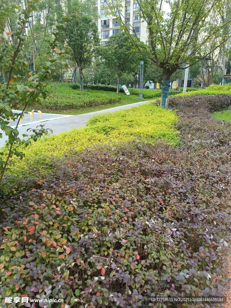 公园多彩植物景观一角