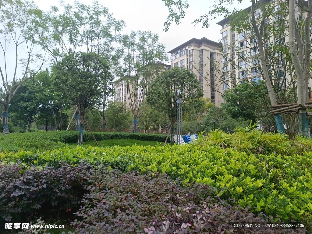 城市中的绿意盎然景观