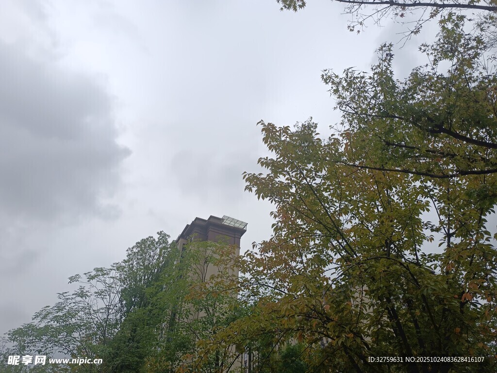 云雾中树林里的神秘建筑