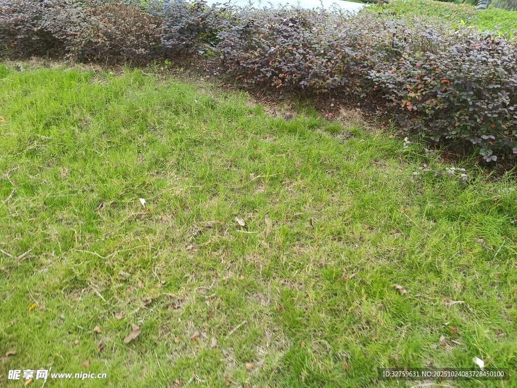 户外草地与石墙景观