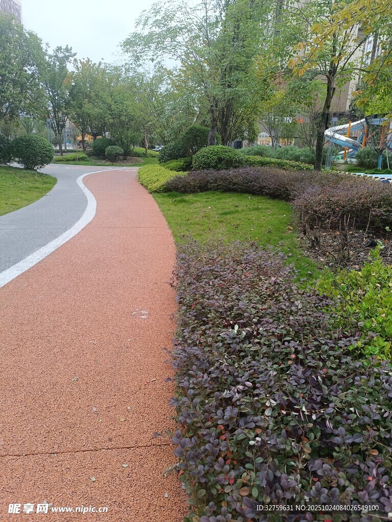 公园彩色步道与绿植景观