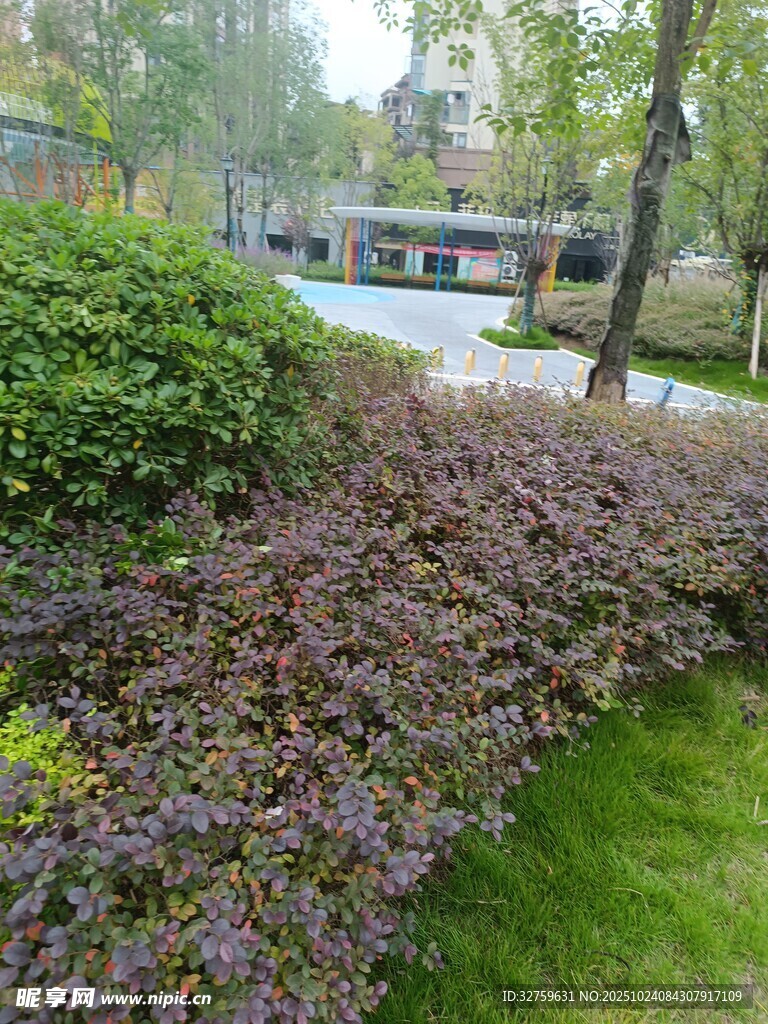 公园绿植景观