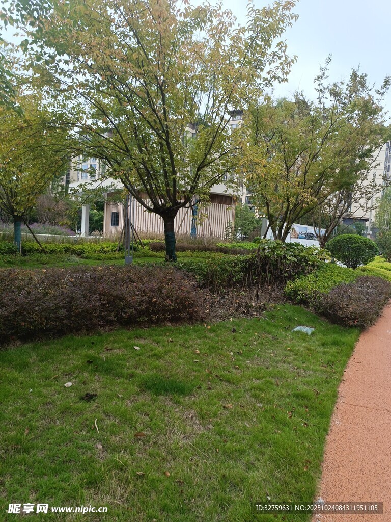 小区内的绿化小径景观