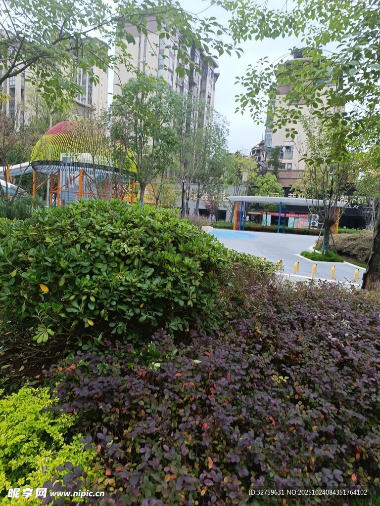 小区绿植景观一角
