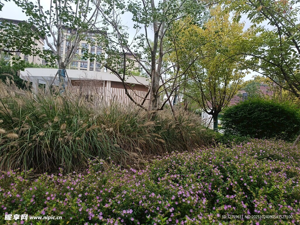 园林景观中的绿植与建筑