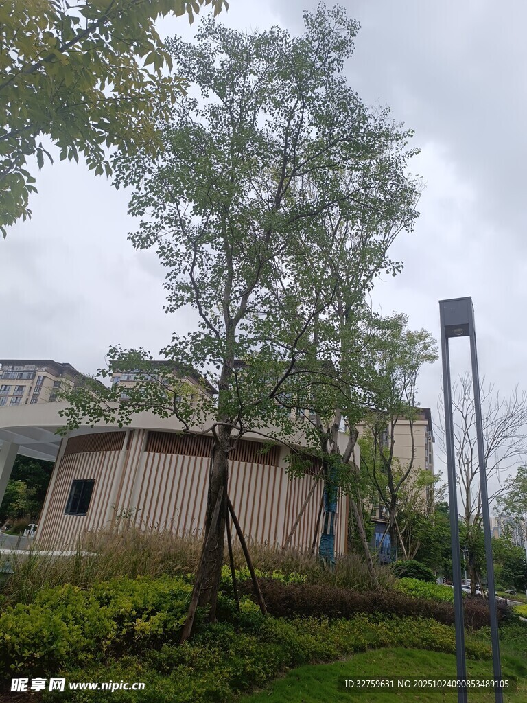 小区内的绿化景观一角
