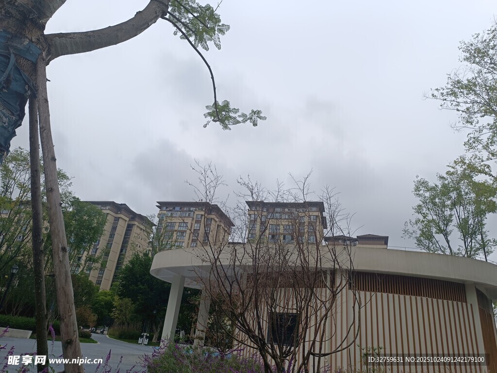户外建筑旁的树木景观