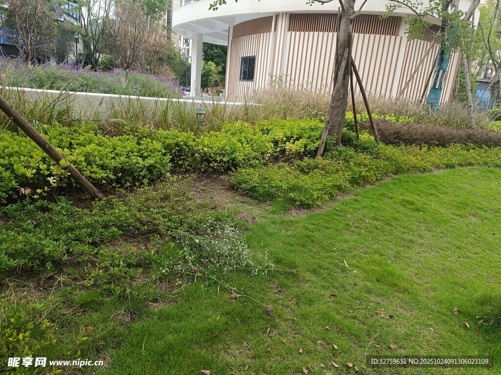 小区内的绿植景观
