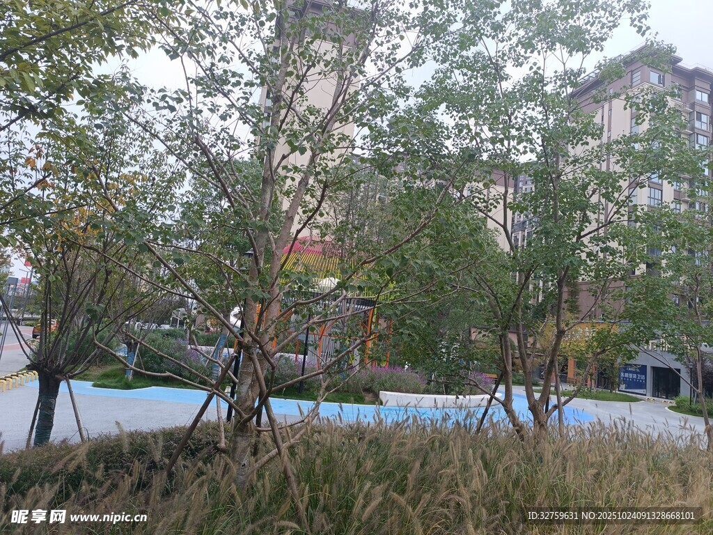 小区内的树木与建筑景观