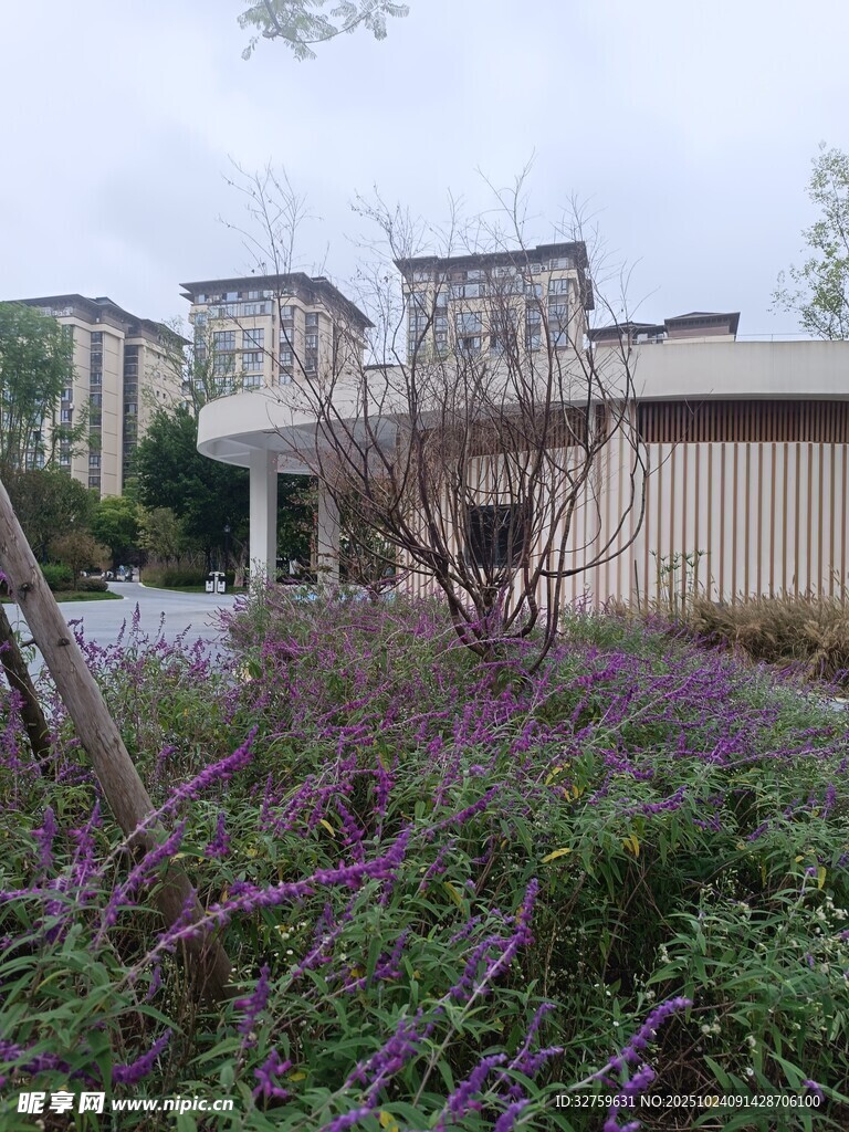 庭院绿植环绕的建筑景观