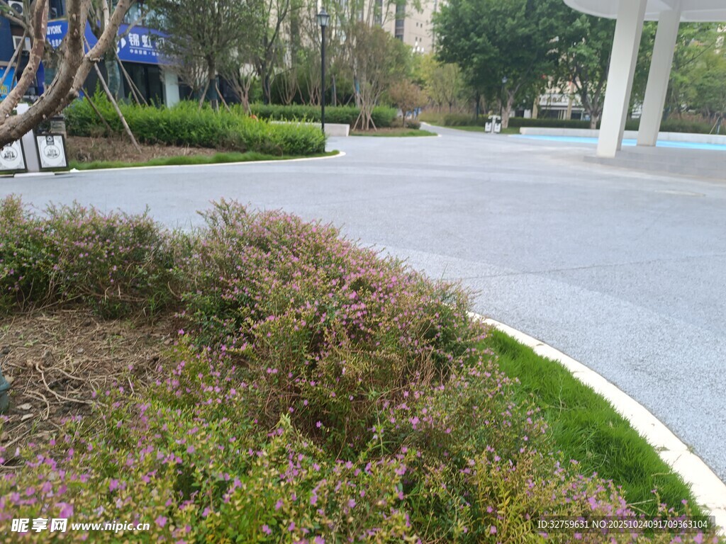 城市道路旁的绿植景观