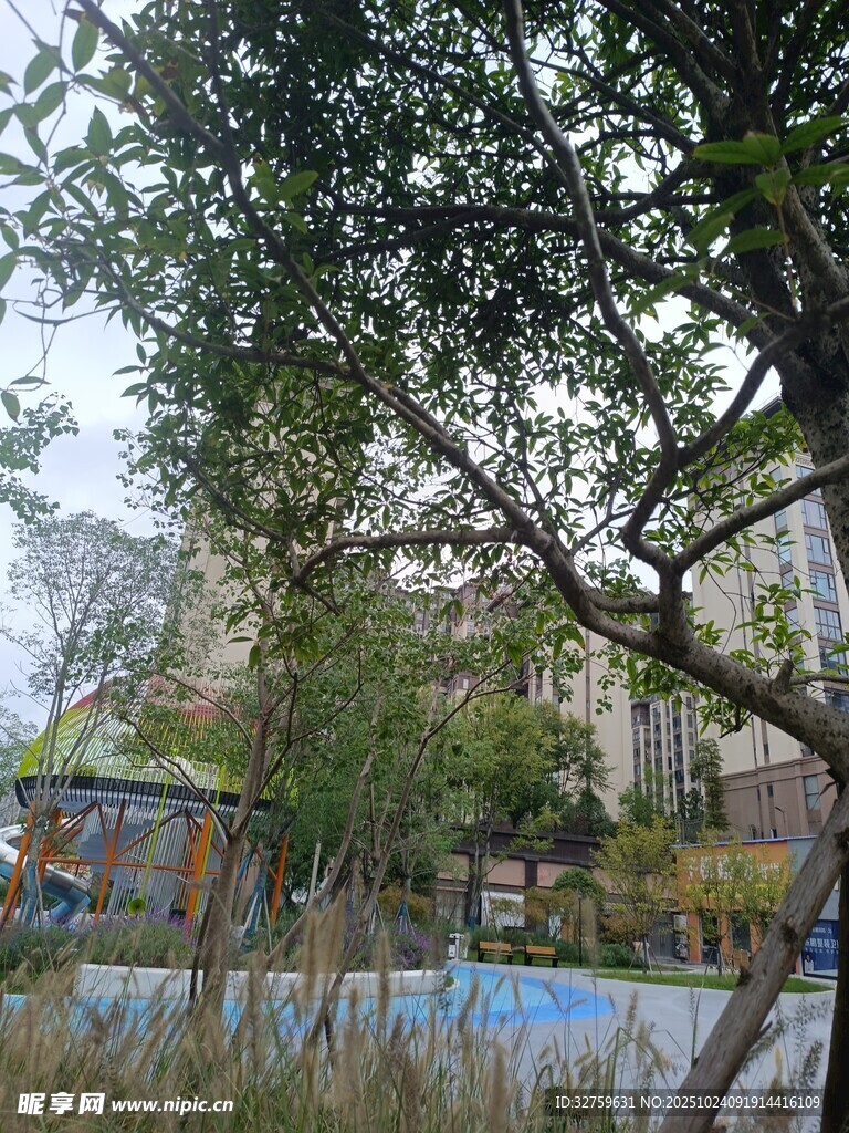 户外绿树环绕的休闲场景