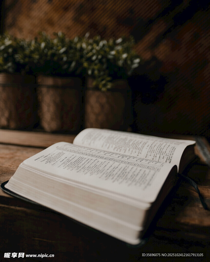 翻开的书与绿植相伴