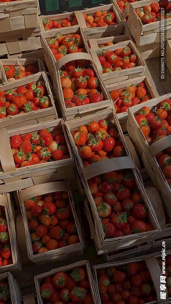 木箱中整齐摆放的新鲜草莓