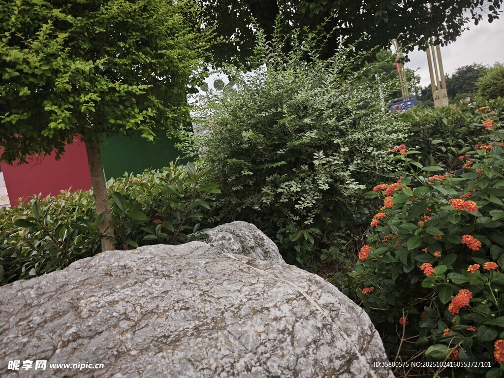 花园中的巨石与绿植