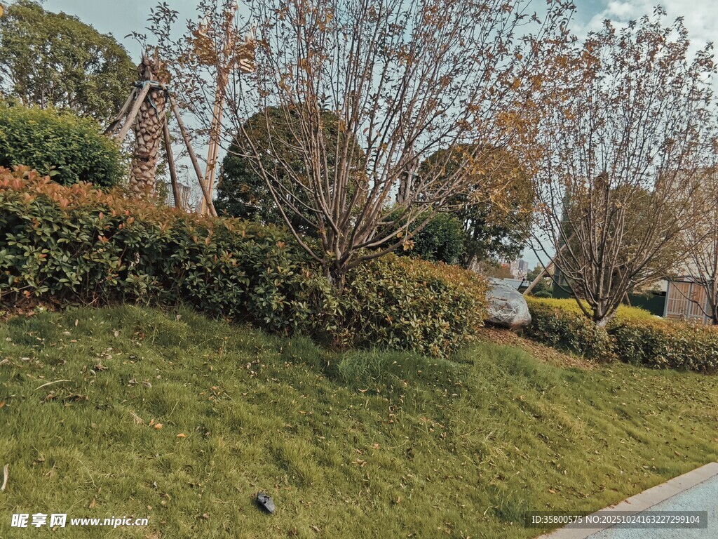 路边绿意盎然的园林景观