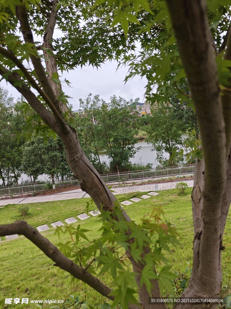 绿树成荫下的宁静景致