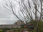 城郊风景