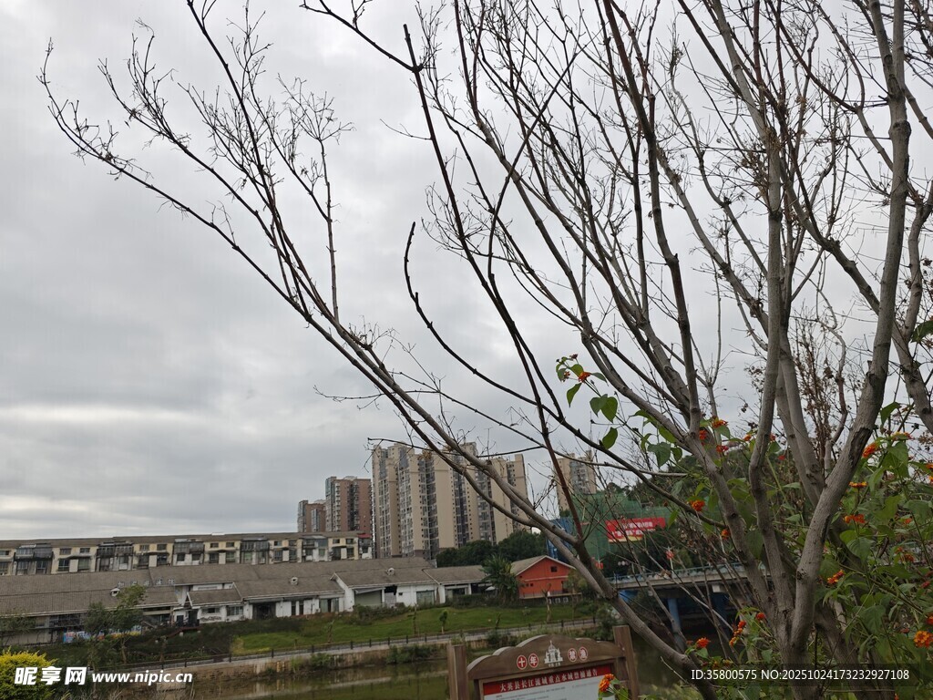 城郊风景