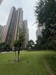 城市绿地旁的高楼景观