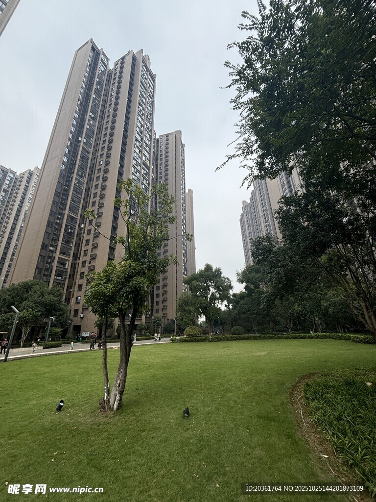 城市绿地旁的高楼景观