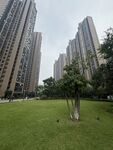城市中的绿地与高楼景观