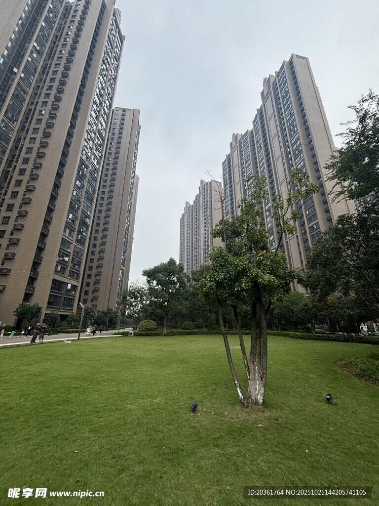 城市中的绿地与高楼景观