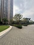 城市现代景观中的休闲步道