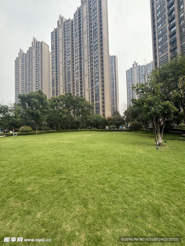 城市绿地旁的高楼景观