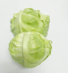 包菜