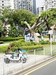 城市街边