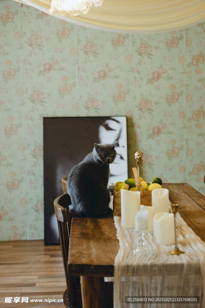 复古风室内装饰艺术场景