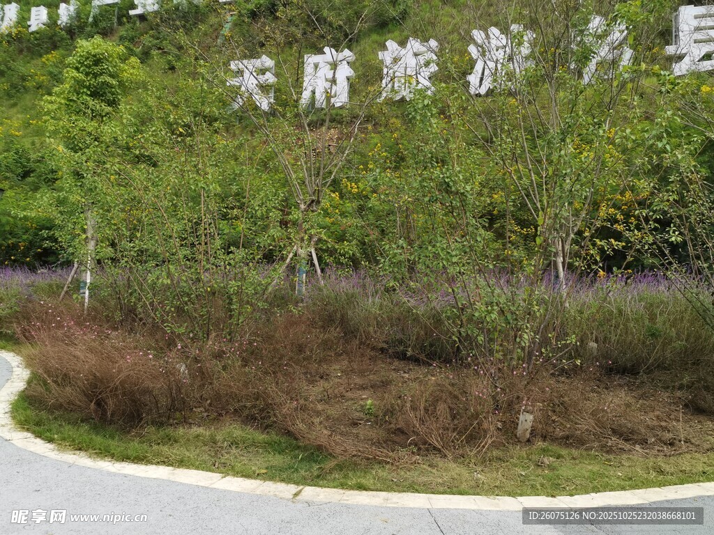 天府旅游名县标识景观