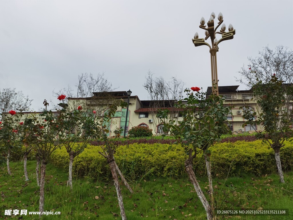 中式建筑旁的绿植景观