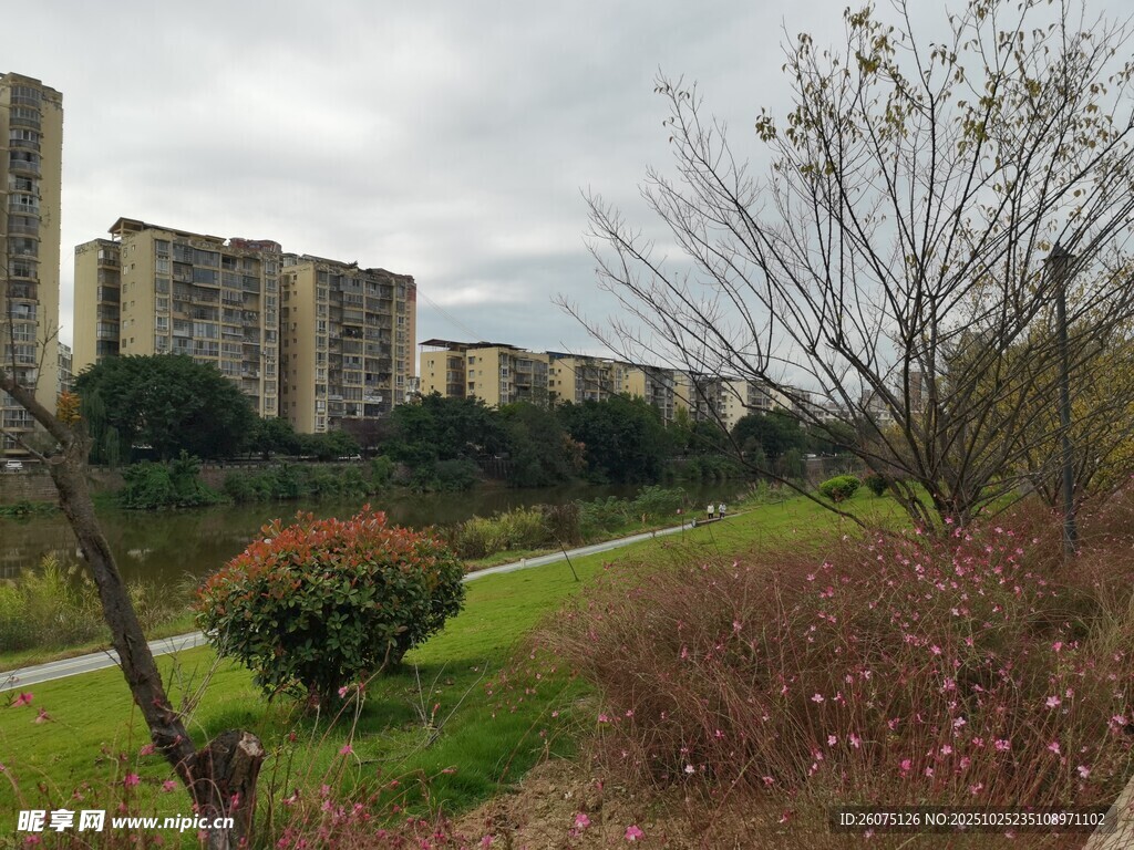 城郊住宅区旁的绿植景观
