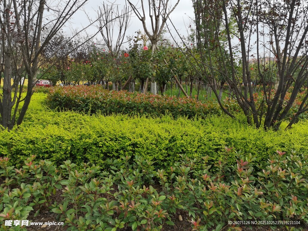 绿意盎然的户外园林景观