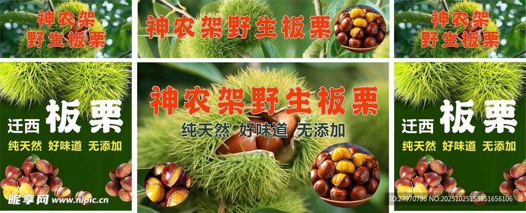 神农架板栗  板栗  迁西板栗