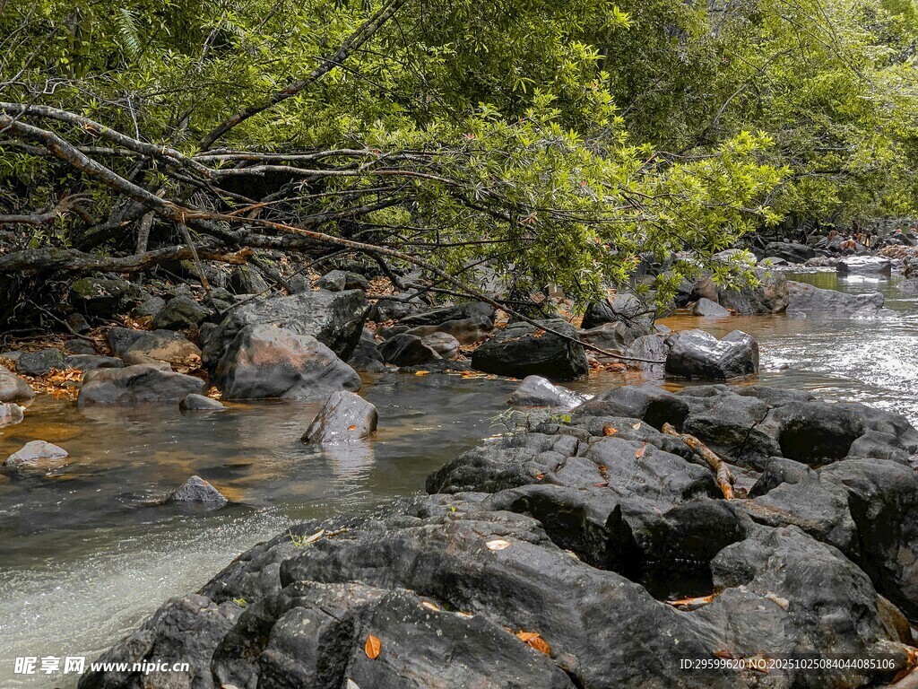 溪边嶙峋怪石与葱郁草木