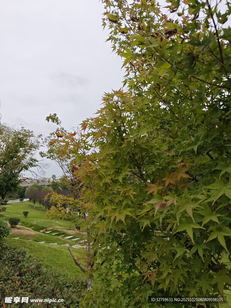 秋日园林景致