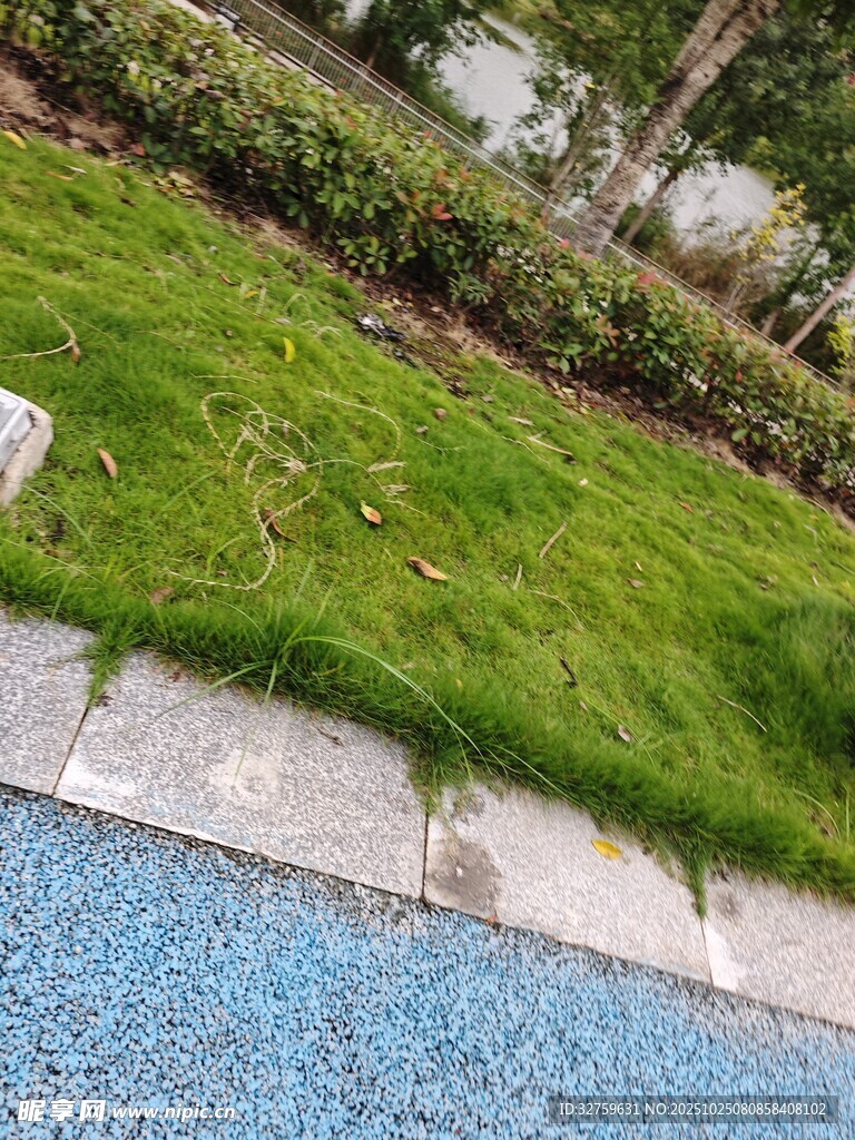 草坪旁的蓝色步道景观