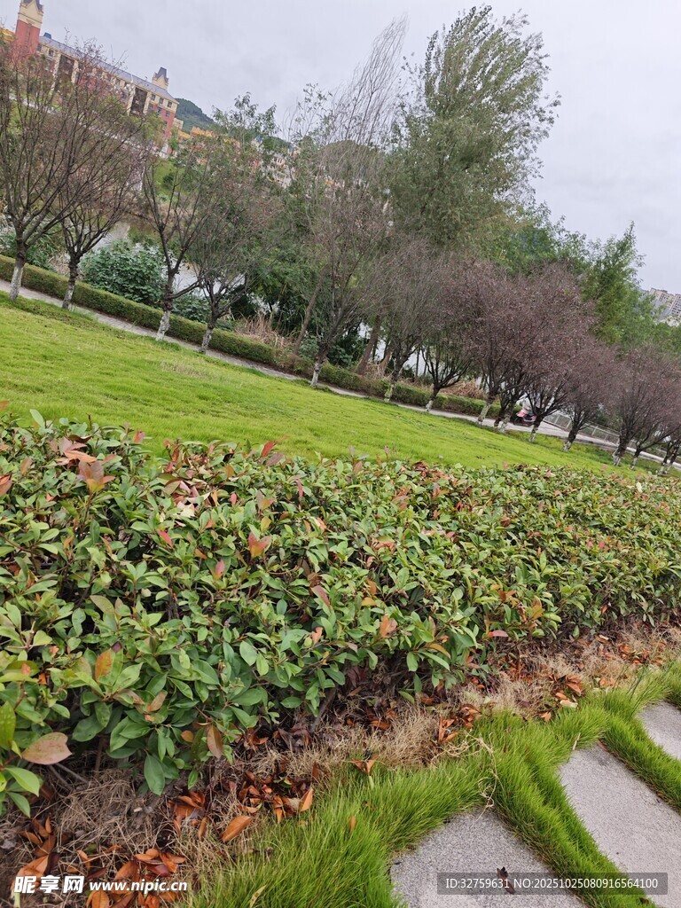 城市公园中的多彩植物景观