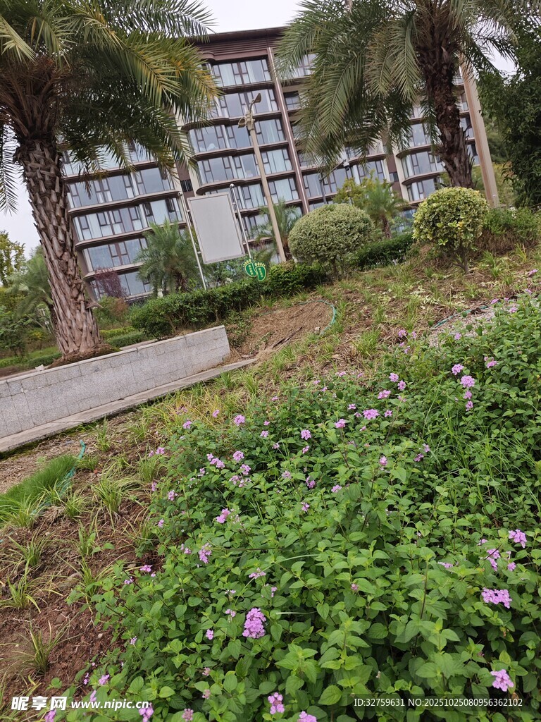 小区绿植环绕的优美景致