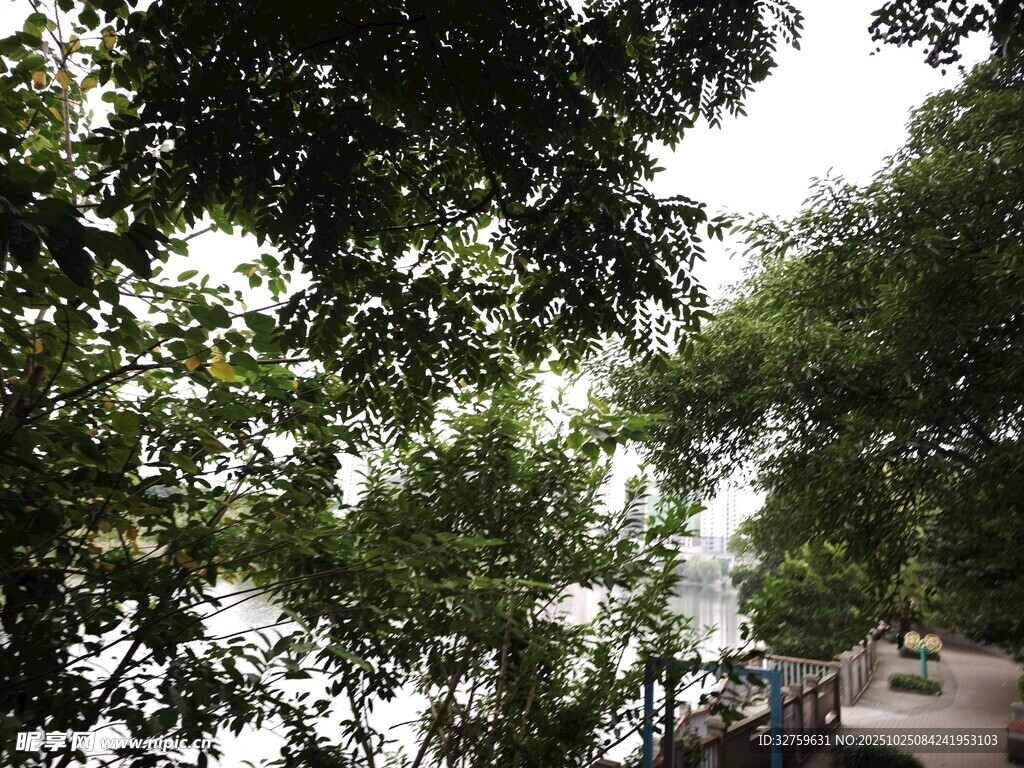 林间小道 